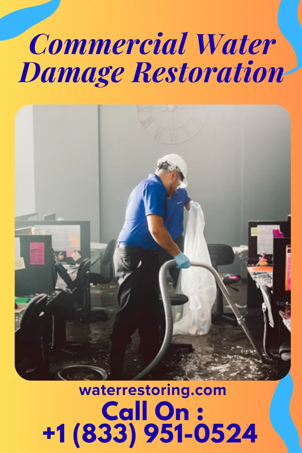 Commercial Water Damage Restoration in Riddle, OR