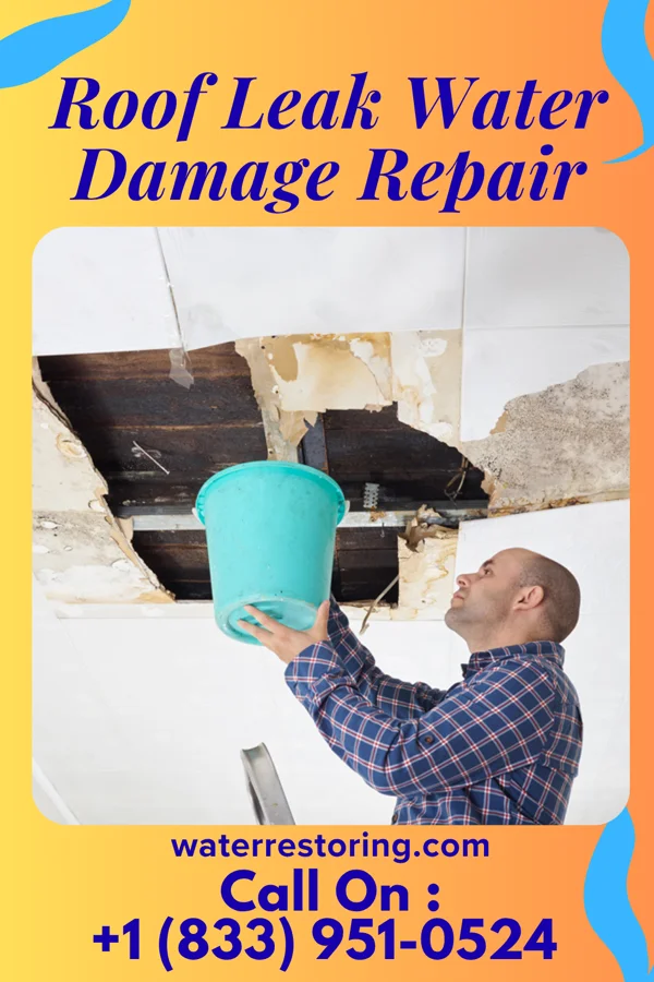 Roof Leak Water Damage Repair in Riddle, OR