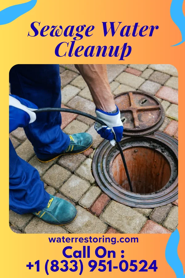 Sewage Water Cleanup in Riddle, OR